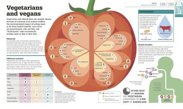 How Food Works: The Facts Visually Explained (Dk)