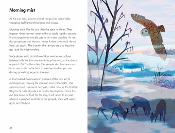What to Look For in Winter