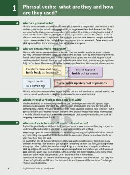 English Phrasal Verbs in Use Advanced Book with Answers: Vocabulary Reference and Practice