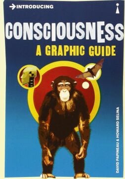 Introducing Graphic Guide Box Set - More Great Theories of Science