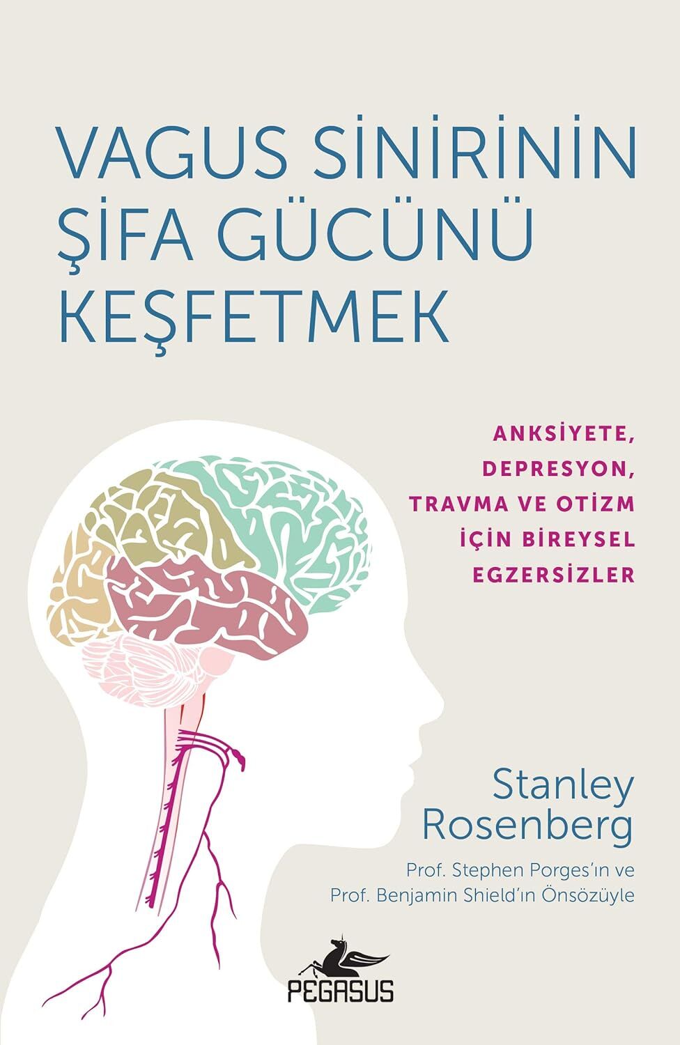 Vagus Sinirinin Şifa Gücünü Keşfetmek: Anksiyete, Depresyon, Travma ve Otizm İçin Bireysel Egzersizler: 1