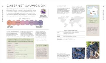 Wine A Tasting Course: From grape to glass