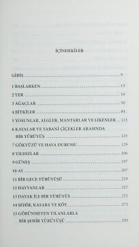 Doğanın İşaretlerini Okumanın Kaybolmuş Sanatı