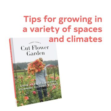 The Cut Flower Garden: Grow, Harvest and Arrange Stunning Seasonal Blooms (Kapak Değişebilir)