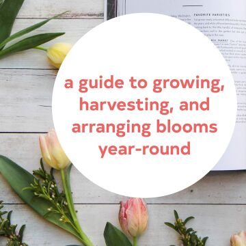 The Cut Flower Garden: Grow, Harvest and Arrange Stunning Seasonal Blooms (Kapak Değişebilir)