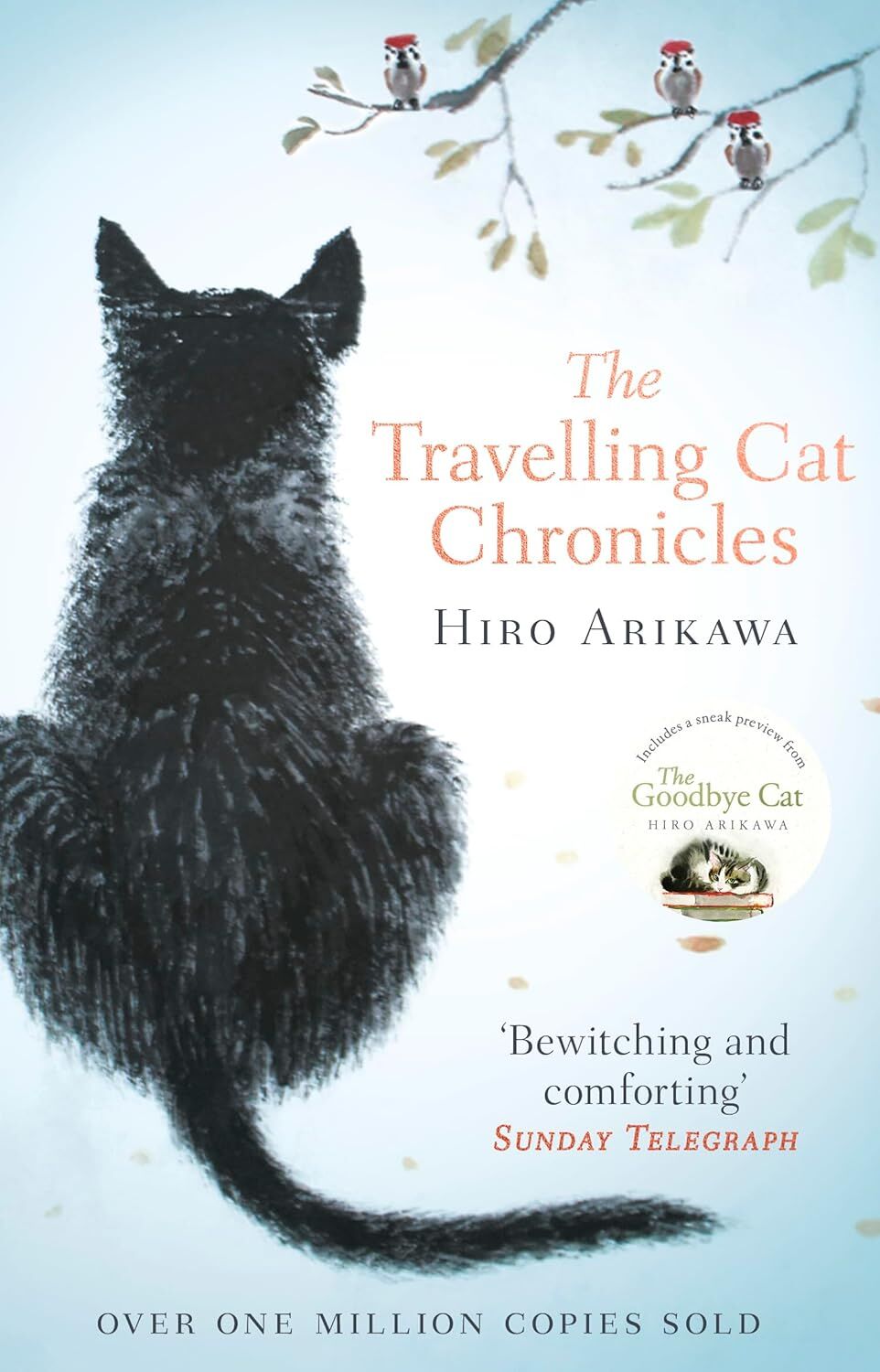 The Travelling Cat Chronicles: The Life Affirming One Million copy Bestseller: The uplifting million-copy bestselling Japanese translated story
