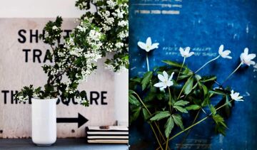 Inspired by Nature: Creating a Personal and Natural Interior