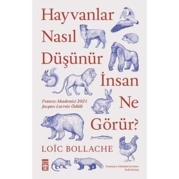 Hayvanlar Nasıl Düşünür İnsanlar Ne Görür? (Kapak Resmi değişebilir)