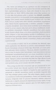 Elektrikli Otomobiller ve Devlet Teşvikleri