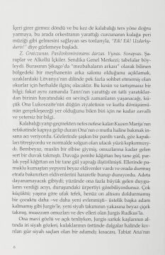 Şikago Mezbahaları