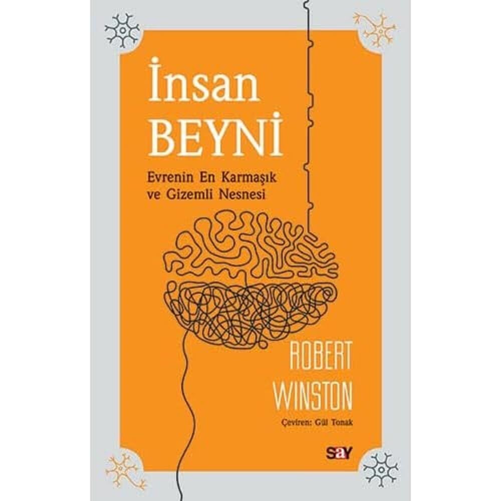 İNSAN BEYNİ: Evrenin En Karmaşık ve Gizemli Nesnesi