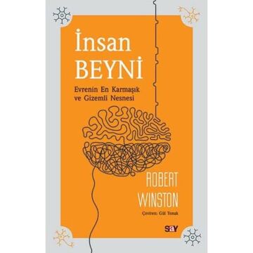 İNSAN BEYNİ: Evrenin En Karmaşık ve Gizemli Nesnesi