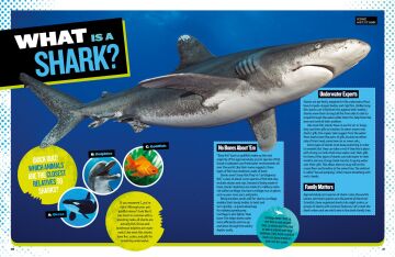 The Ultimate Book of Sharks