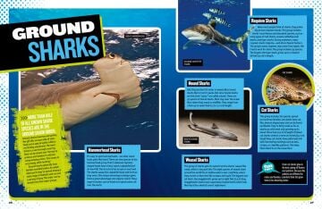 The Ultimate Book of Sharks