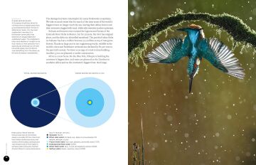Our Planet: The official companion to the ground-breaking Netflix original Attenborough series with a special foreword by David Attenborough