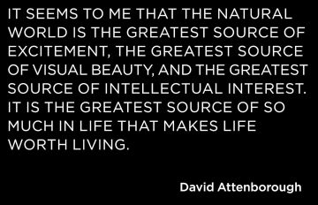 Our Planet: The official companion to the ground-breaking Netflix original Attenborough series with a special foreword by David Attenborough
