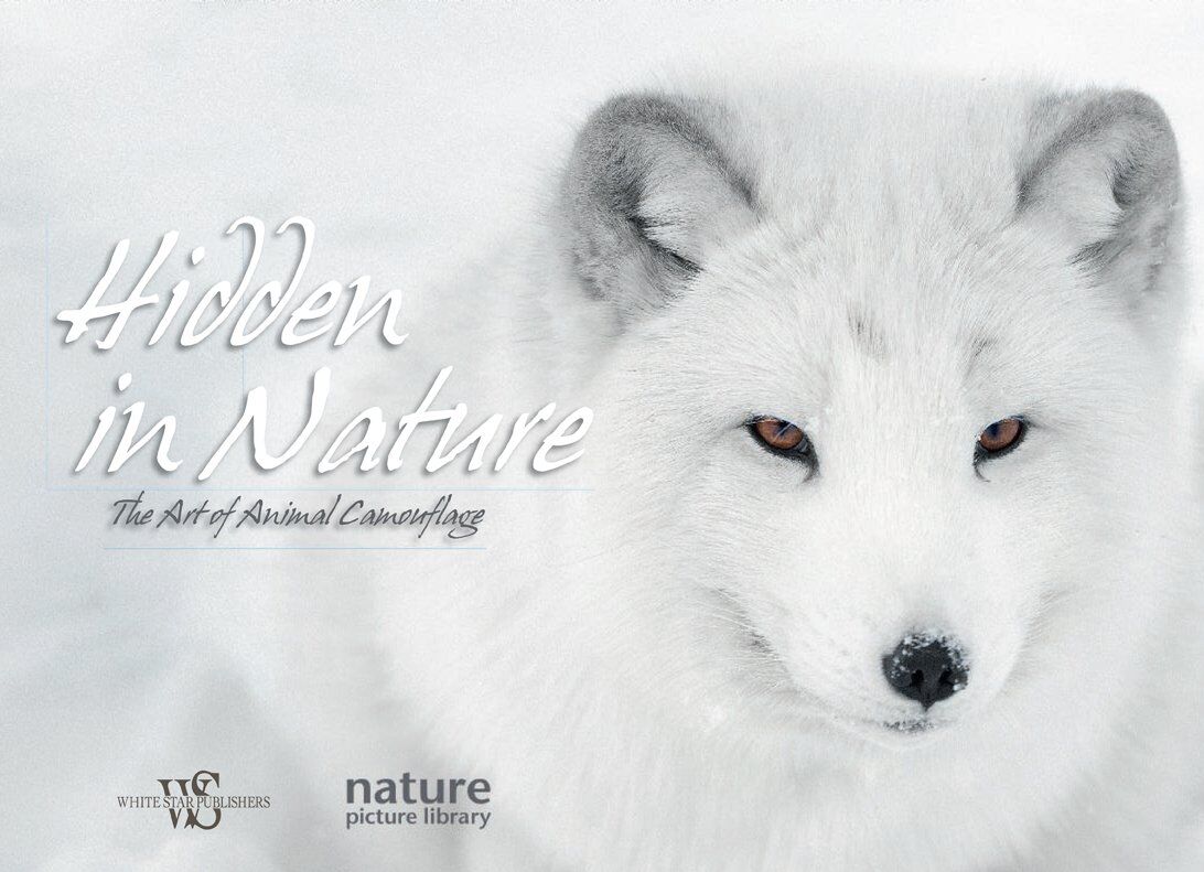 Hidden in Nature. the Art of Animal Camouflage
