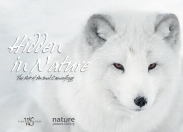 Hidden in Nature. the Art of Animal Camouflage