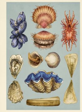 Oceanarium Poster Book