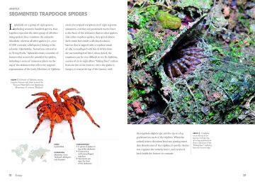 Spiders of the World: A Natural History