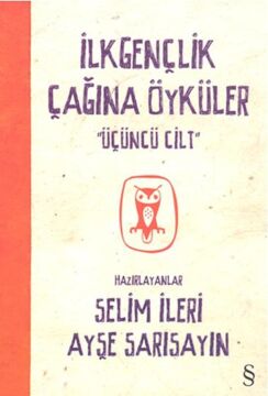 İlkgençlik Çağına Öyküler - 3
