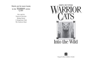 Into the Wild: Book 1
