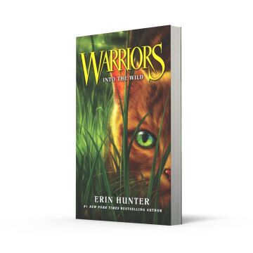 Into the Wild: Book 1