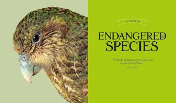 Fantastic Beasts: The Wonder of Nature: Amazing Animals and the Magical Creatures of Harry Potter and Fantastic Beasts