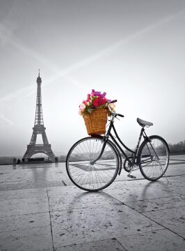 Clementoni - 500 Parça High Quality Collection Yetişkin Puzzle - Romantic Promenade in Paris