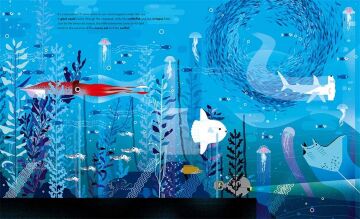 Deep in the Ocean: A Board Book
