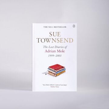 The Lost Diaries of Adrian Mole, 1999-2001