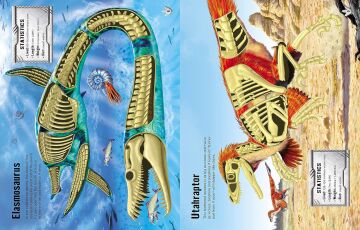 Tudhope, S: Build Your Own Dinosaurs Sticker Book (Build Your Own Sticker Book)