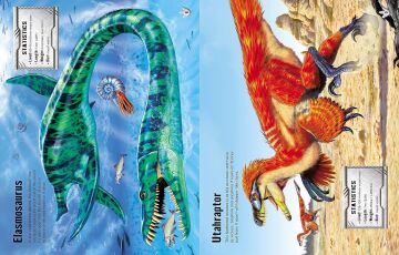 Tudhope, S: Build Your Own Dinosaurs Sticker Book (Build Your Own Sticker Book)