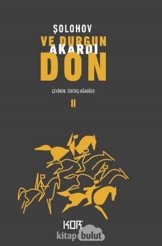 Ve Durgun Akardı Don 2 (Kapak Değişebilir)