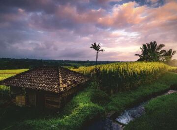 Ravensburger Puzzle, 500 Parça, Bali