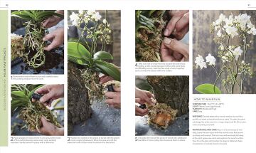 RHS Practical House Plant Book: Choose The Best, Display Creatively, Nurture and Care, 175 Plant Profiles