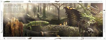 Life Through Time: The 700-Million-Year Story of Life on Earth