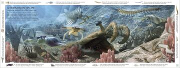 Life Through Time: The 700-Million-Year Story of Life on Earth