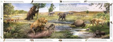 Life Through Time: The 700-Million-Year Story of Life on Earth