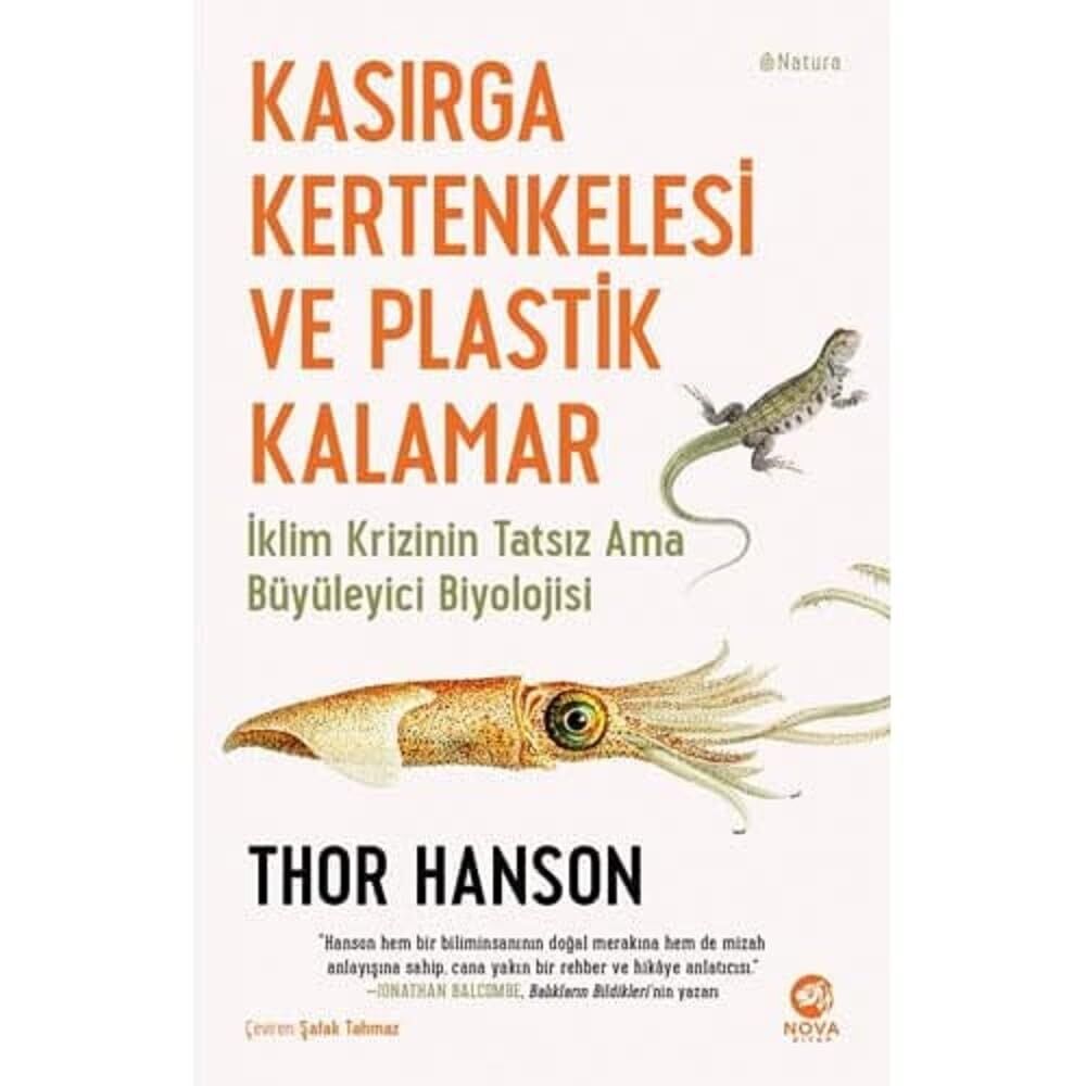Kasırga Kertenkelesi ve Plastik Kalamar