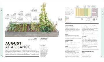 Veg in One Bed New Edition: How to Grow an Abundance of Food in One Raised Bed, Month by Month
