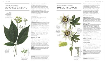 Neal's Yard Remedies Healing Herbs: Treat Yourself Naturally with Homemade Herbal Remedies