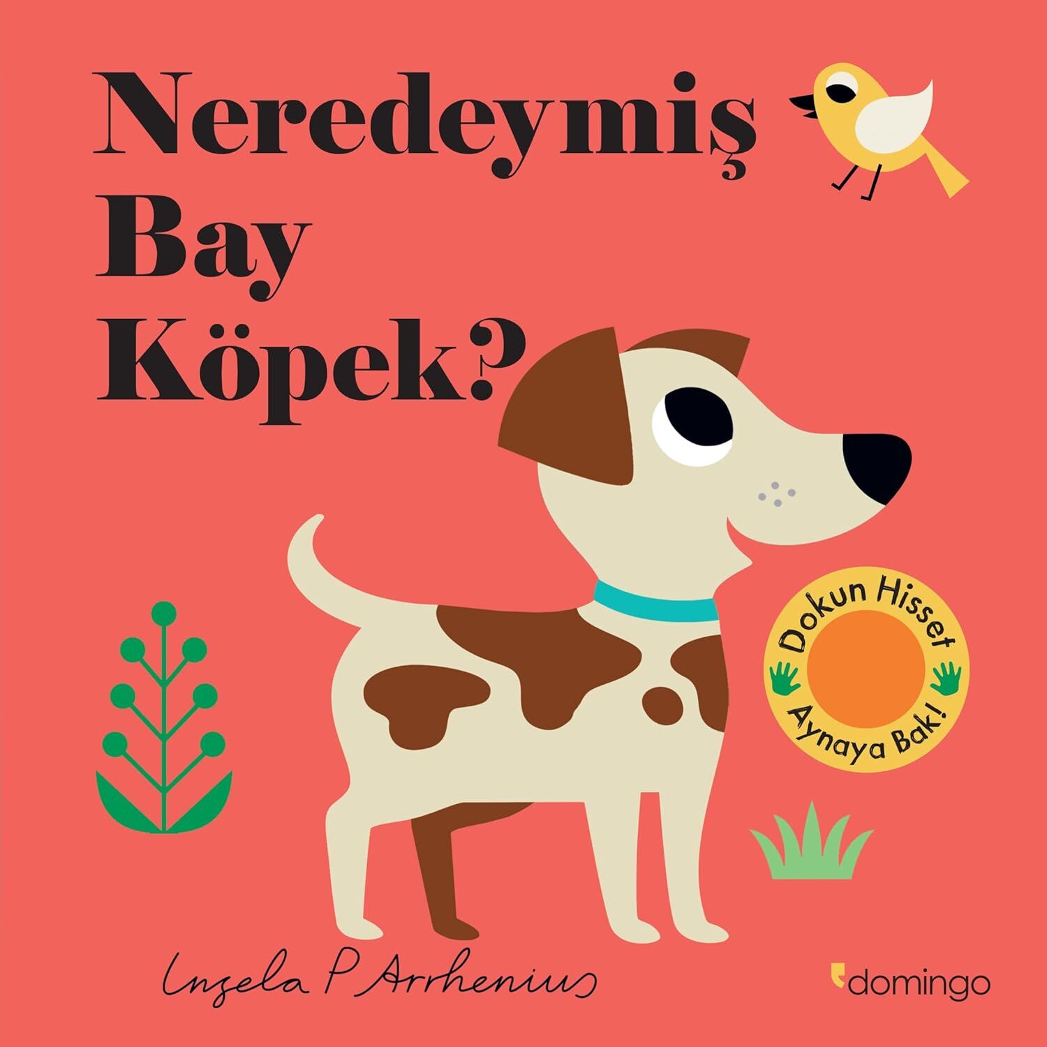 Neredeymiş Bay Köpek? (Ciltli): (Dokun, Hisset, Aynaya Bak!)