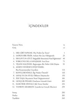 Şifa: Zihnin İyileştirici Gücüne Dair Bilimsel Bir Yolculuk