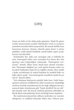 Şifa: Zihnin İyileştirici Gücüne Dair Bilimsel Bir Yolculuk