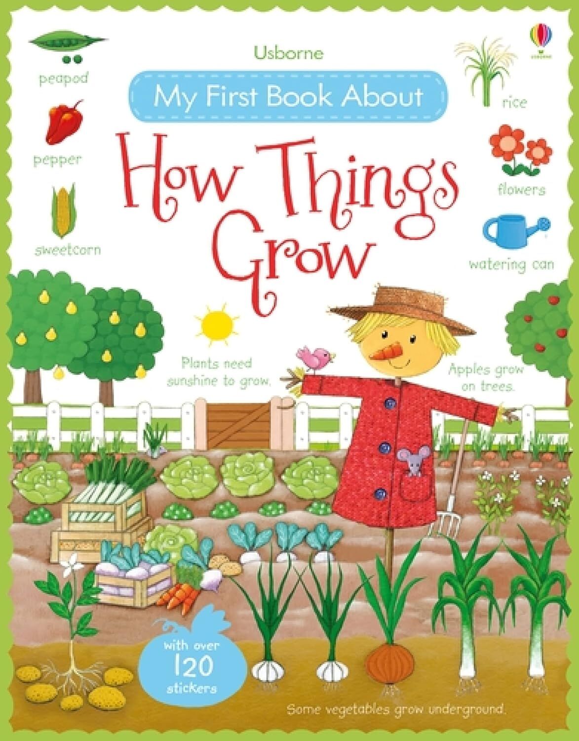 USB - My First Book About How Things Grow Sticker Book