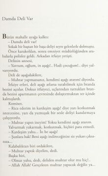 Damda Deli Var: Nesin Yayınevi