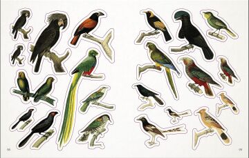 The Bees, Birds & Butterflies Sticker Anthology: With More Than 1,000 Vintage Stickers