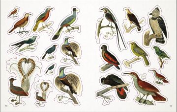 The Bees, Birds & Butterflies Sticker Anthology: With More Than 1,000 Vintage Stickers