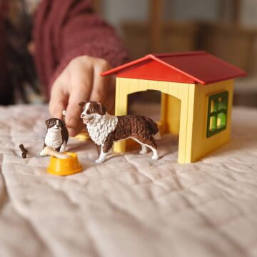 Köpek Evi